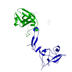 Image of CATH 3bt1