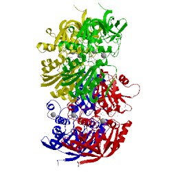 Image of CATH 3bto