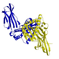 Image of CATH 3bvn