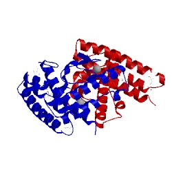 Image of CATH 3bvo