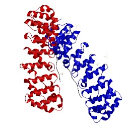 Image of CATH 3bx3