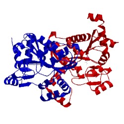 Image of CATH 3bxe