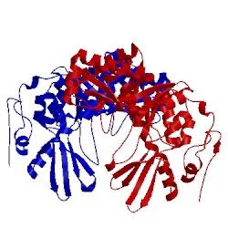 Image of CATH 3bxw