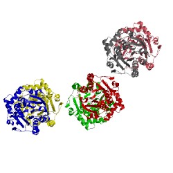 Image of CATH 3bxx