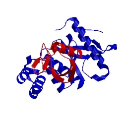 Image of CATH 3by4