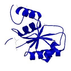 Image of CATH 3by5