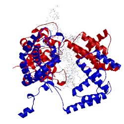 Image of CATH 3c28