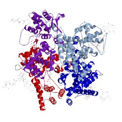 Image of CATH 3c29