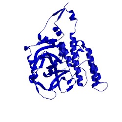 Image of CATH 3c49