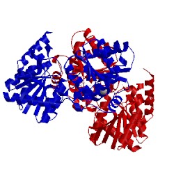 Image of CATH 3c4v