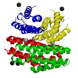 Image of CATH 3c62