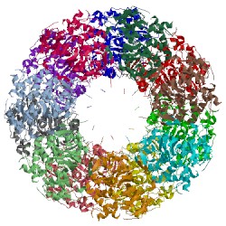 Image of CATH 3c9v