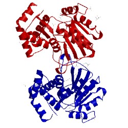 Image of CATH 3ca8