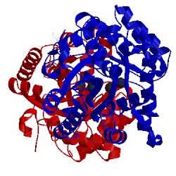 Image of CATH 3cak