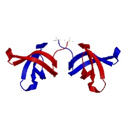 Image of CATH 3cam