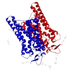 Image of CATH 3cap