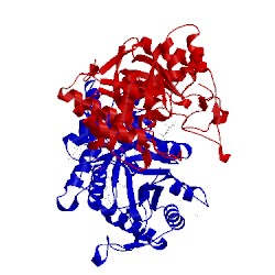 Image of CATH 3cas