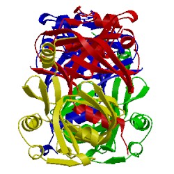 Image of CATH 3cb0