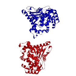 Image of CATH 3cbd