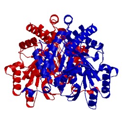 Image of CATH 3cbf