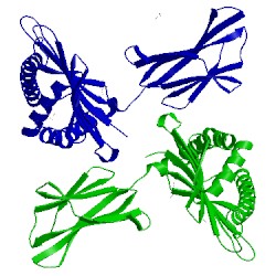 Image of CATH 3cc5