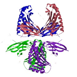 Image of CATH 3cch