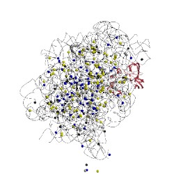 Image of CATH 3ccs