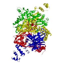 Image of CATH 3cct