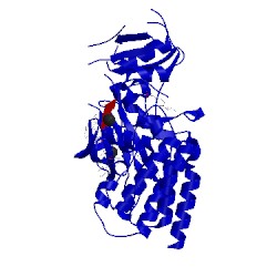 Image of CATH 3cd3