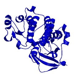 Image of CATH 3cd8