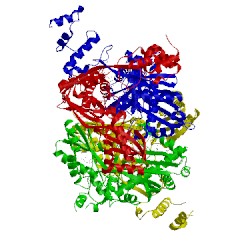 Image of CATH 3cdb