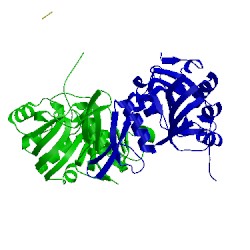 Image of CATH 3cdk