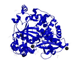 Image of CATH 3cdw