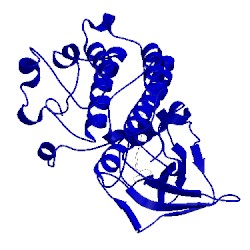 Image of CATH 3ce3