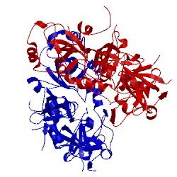 Image of CATH 3cey