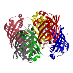 Image of CATH 3cf8