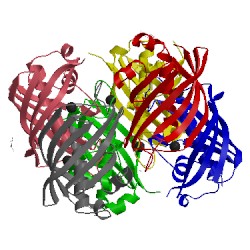 Image of CATH 3cf9