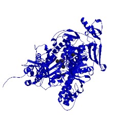 Image of CATH 3cfp
