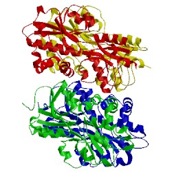 Image of CATH 3chg