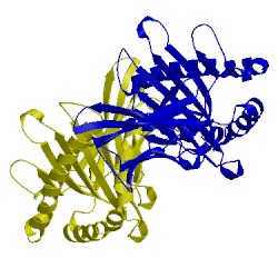 Image of CATH 3cii