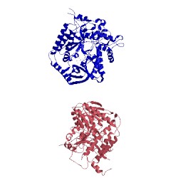 Image of CATH 3cir