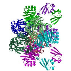 Image of CATH 3cjt