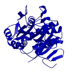 Image of CATH 3ckn