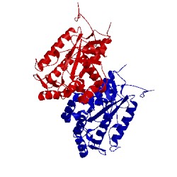 Image of CATH 3cl6