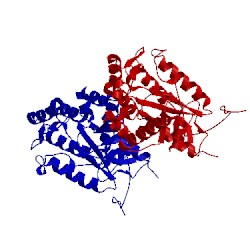 Image of CATH 3cl8