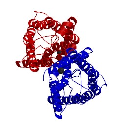Image of CATH 3cn6