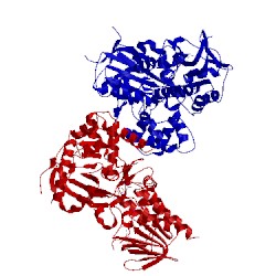 Image of CATH 3cns