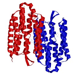 Image of CATH 3coc