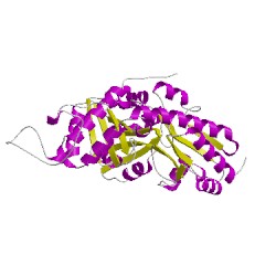 Image of CATH 3cogD