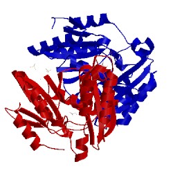 Image of CATH 3cov